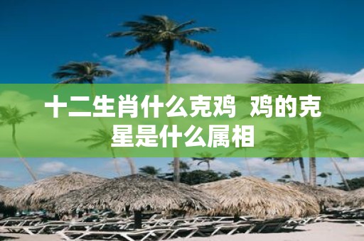 十二生肖什么克鸡 鸡的克星是什么属相