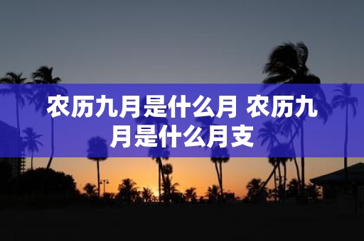 农历九月是什么月 农历九月是什么月支