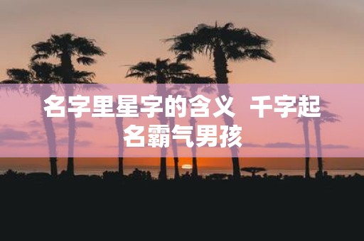 名字里星字的含义 千字起名霸气男孩