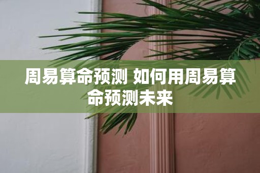 周易算命预测 如何用周易算命预测未来