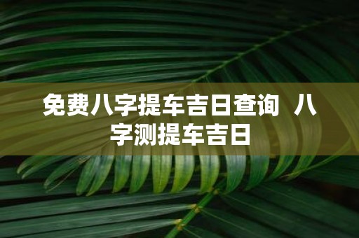 免费八字提车吉日查询 八字测提车吉日