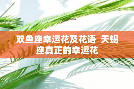 双鱼座幸运花及花语 天蝎座真正的幸运花