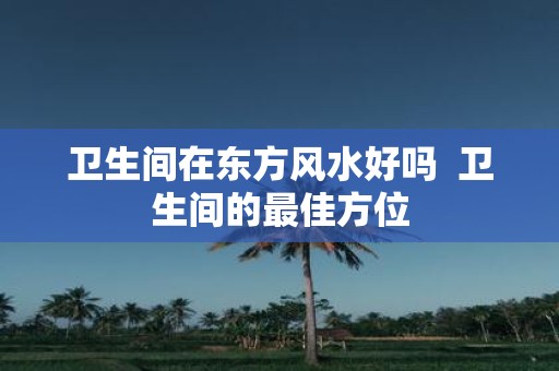 卫生间在东方风水好吗 卫生间的最佳方位