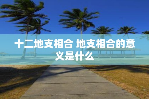 十二地支相合 地支相合的意义是什么