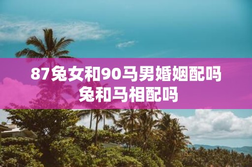 87兔女和90马男婚姻配吗 兔和马相配吗