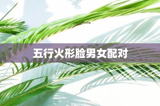 五行火形脸男女配对
