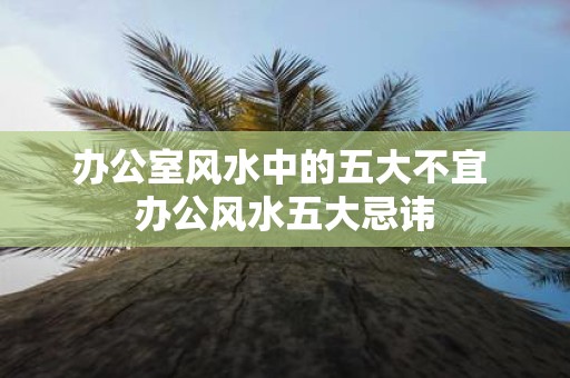 办公室风水中的五大不宜 办公风水五大忌讳