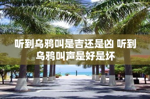 听到乌鸦叫是吉还是凶 听到乌鸦叫声是好是坏