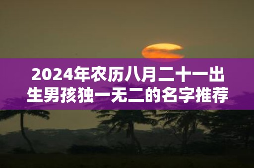 2025年农历八月二十一出生男孩独一无二的名字推荐