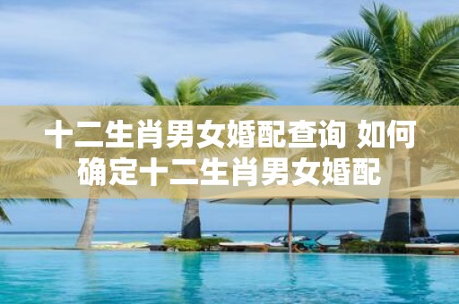 十二生肖男女婚配查询 如何确定十二生肖男女婚配