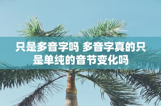 只是多音字吗 多音字真的只是单纯的音节变化吗