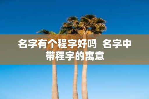名字有个程字好吗 名字中带程字的寓意
