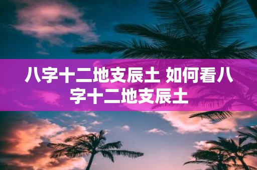 八字十二地支辰土 如何看八字十二地支辰土