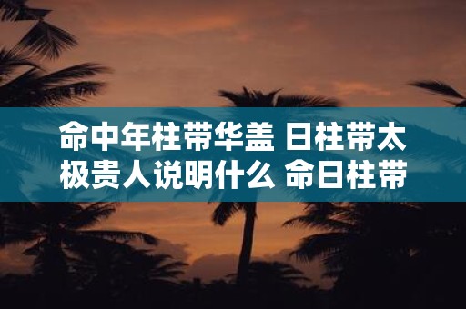 命中年柱带华盖 日柱带太极贵人说明什么 命日柱带华盖和太极贵人的含义