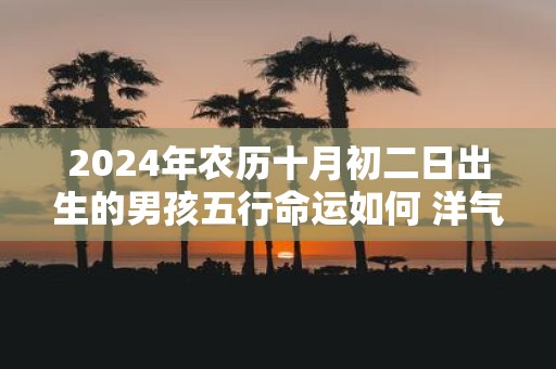 2025年农历十月初二日出生的男孩五行命运如何 洋气名字精选