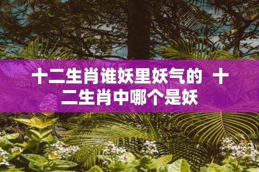 十二生肖谁妖里妖气的 十二生肖中哪个是妖