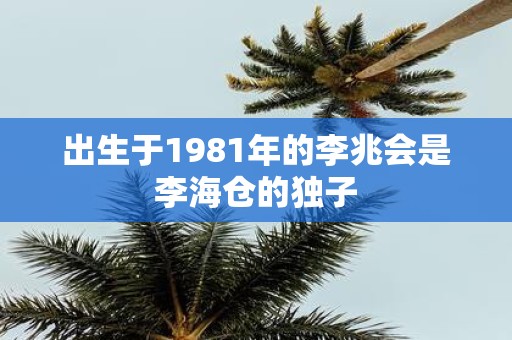 出生于1981年的李兆会是李海仓的独子