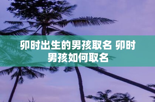 卯时出生的男孩取名 卯时男孩如何取名