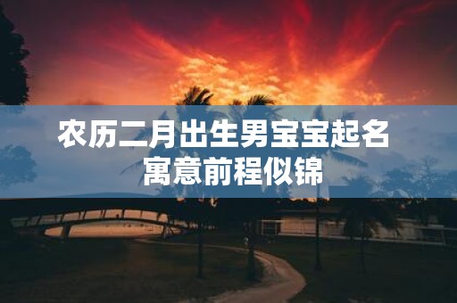 农历二月出生男宝宝起名 寓意前程似锦