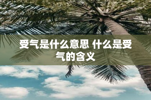 受气是什么意思 什么是受气的含义