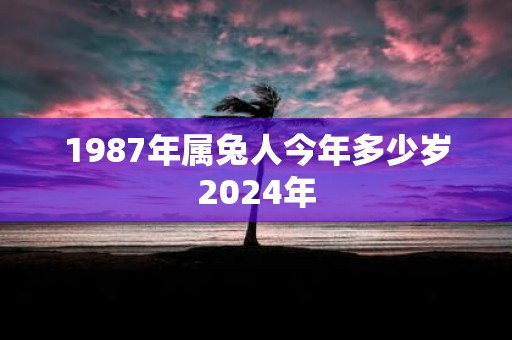 1987年属兔人今年多少岁2025年