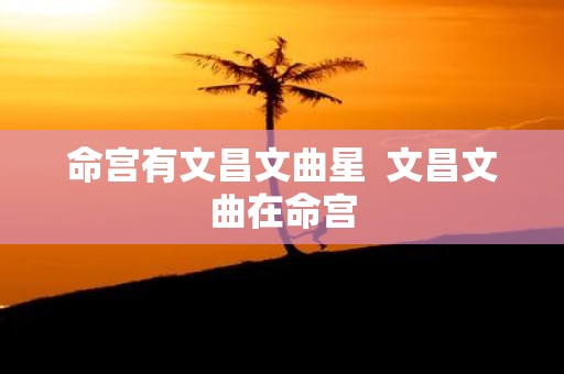 命宫有文昌文曲星 文昌文曲在命宫