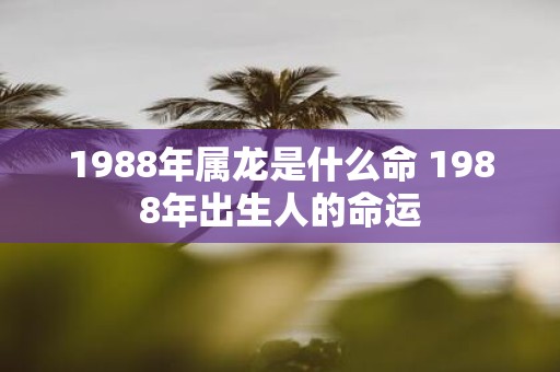 1988年属龙是什么命 1988年出生人的命运