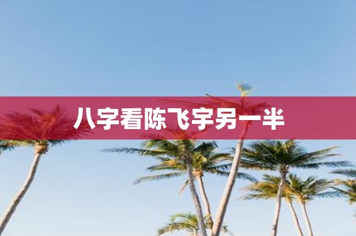 八字看陈飞宇另一半