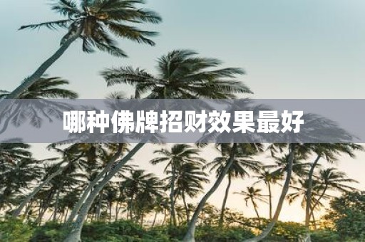 哪种佛牌招财效果最好