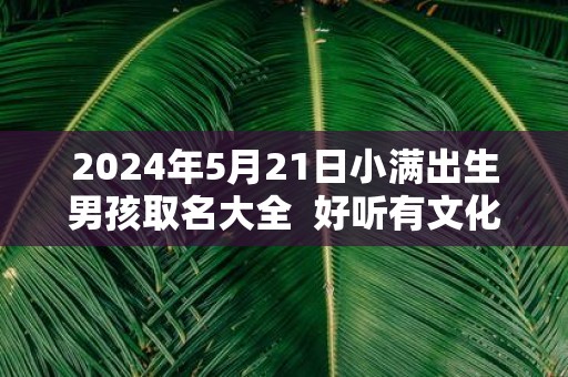 2025年5月21日小满出生男孩取名大全 好听有文化底蕴的名字