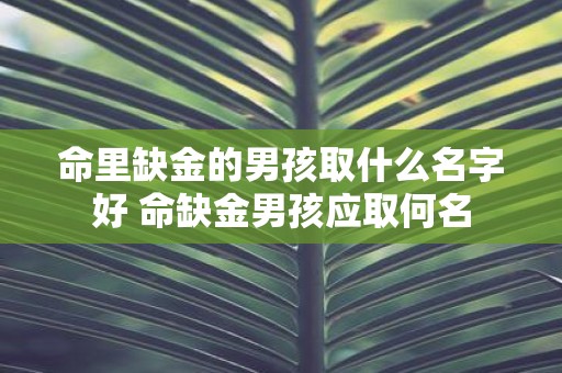 命里缺金的男孩取什么名字好 命缺金男孩应取何名