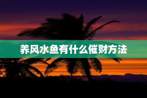 养风水鱼有什么催财方法