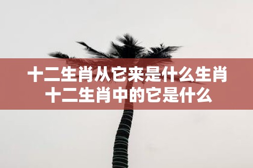 十二生肖从它来是什么生肖 十二生肖中的它是什么
