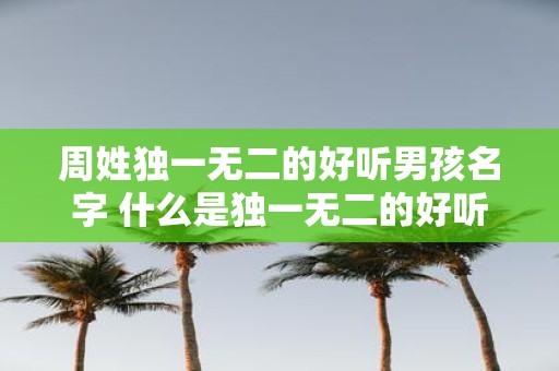 周姓独一无二的好听男孩名字 什么是独一无二的好听男孩名字周姓