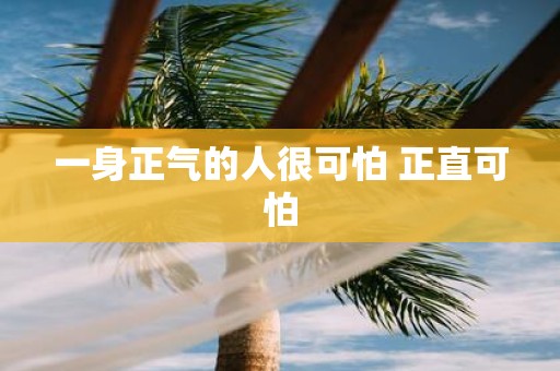 一身正气的人很可怕 正直可怕