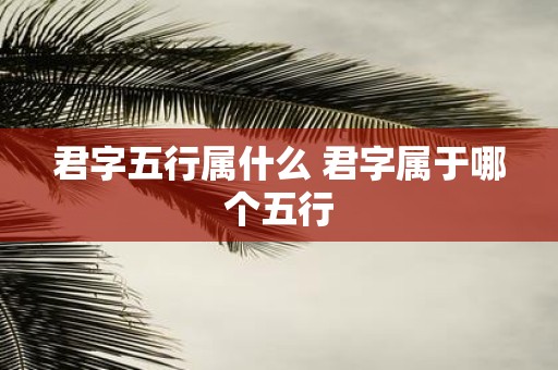 君字五行属什么 君字属于哪个五行