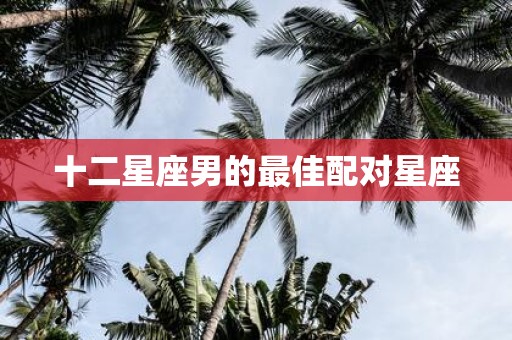 十二星座男的最佳配对星座