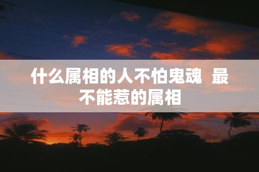 什么属相的人不怕鬼魂 最不能惹的属相
