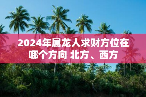 2025年属龙人求财方位在哪个方向 北方、西方