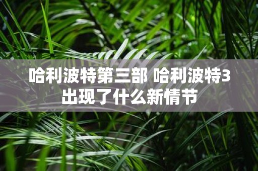 哈利波特第三部 哈利波特3出现了什么新情节