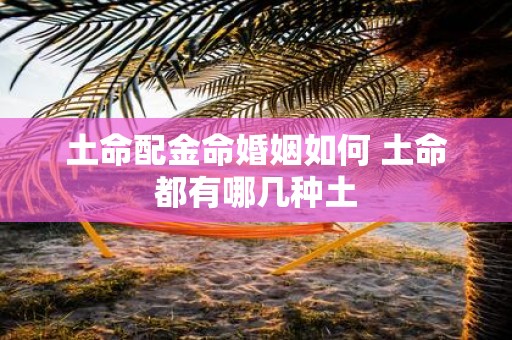 土命配金命婚姻如何 土命都有哪几种土