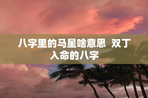 八字里的马星啥意思 双丁入命的八字