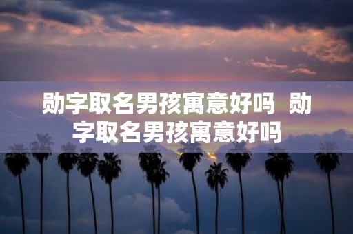 勋字取名男孩寓意好吗 勋字取名男孩寓意好吗