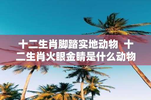 十二生肖脚踏实地动物 十二生肖火眼金睛是什么动物