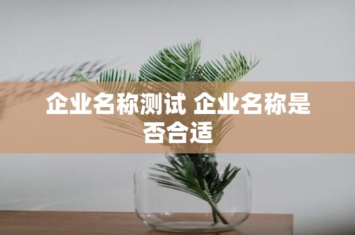 企业名称测试 企业名称是否合适