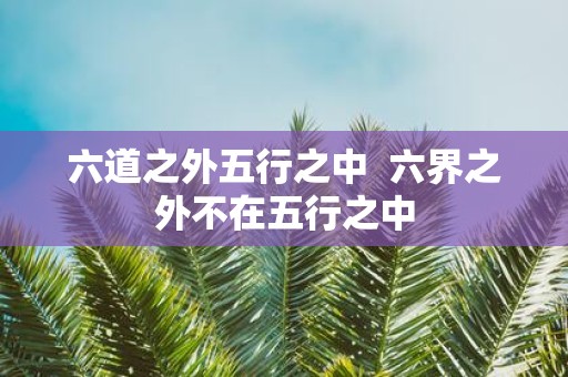 六道之外五行之中 六界之外不在五行之中