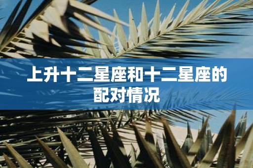 上升十二星座和十二星座的配对情况