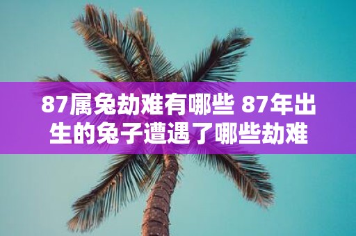 87属兔劫难有哪些 87年出生的兔子遭遇了哪些劫难
