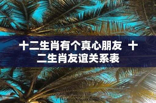 十二生肖有个真心朋友 十二生肖友谊关系表