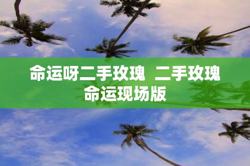 命运呀二手玫瑰 二手玫瑰命运现场版